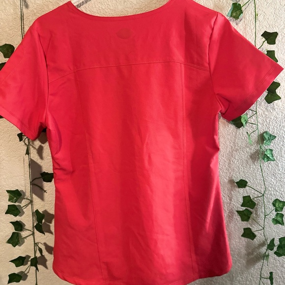 Scrub - Picture 6 of 7